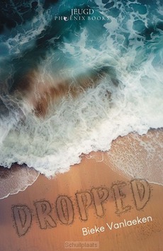 DROPPED - VANLAEKEN, BIEKE - 9789464789089