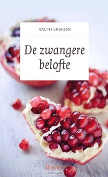 ZWANGERE BELOFTE - ERSKINE, RALPH - 9789491583766