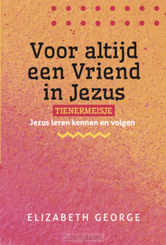 VOOR ALTIJD EEN VRIEND IN JEZUS TIENERME - GEORGE, JIM - 9789492234889