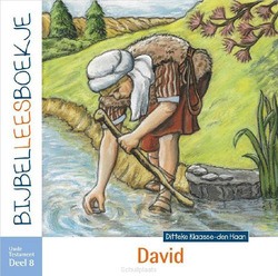 BIJBELLEESBOEKJE OT 8 DAVID - HAAN, DITTEKE DEN - 9789492987129