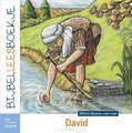 BIJBELLEESBOEKJE OT 8 DAVID - HAAN, DITTEKE DEN - 9789492987129