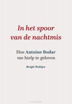 IN HET SPOOR VAN DE NACHTMIS - WOLTJER, BRIGIT - 9789493161610