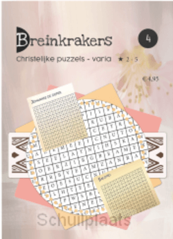 BREINKRAKERS 4 - GOETHEER,-DE JONGE, MARIANNE - 9789493200272