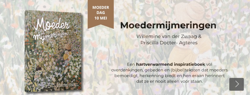 Lynn Austin Echo's aan het meer